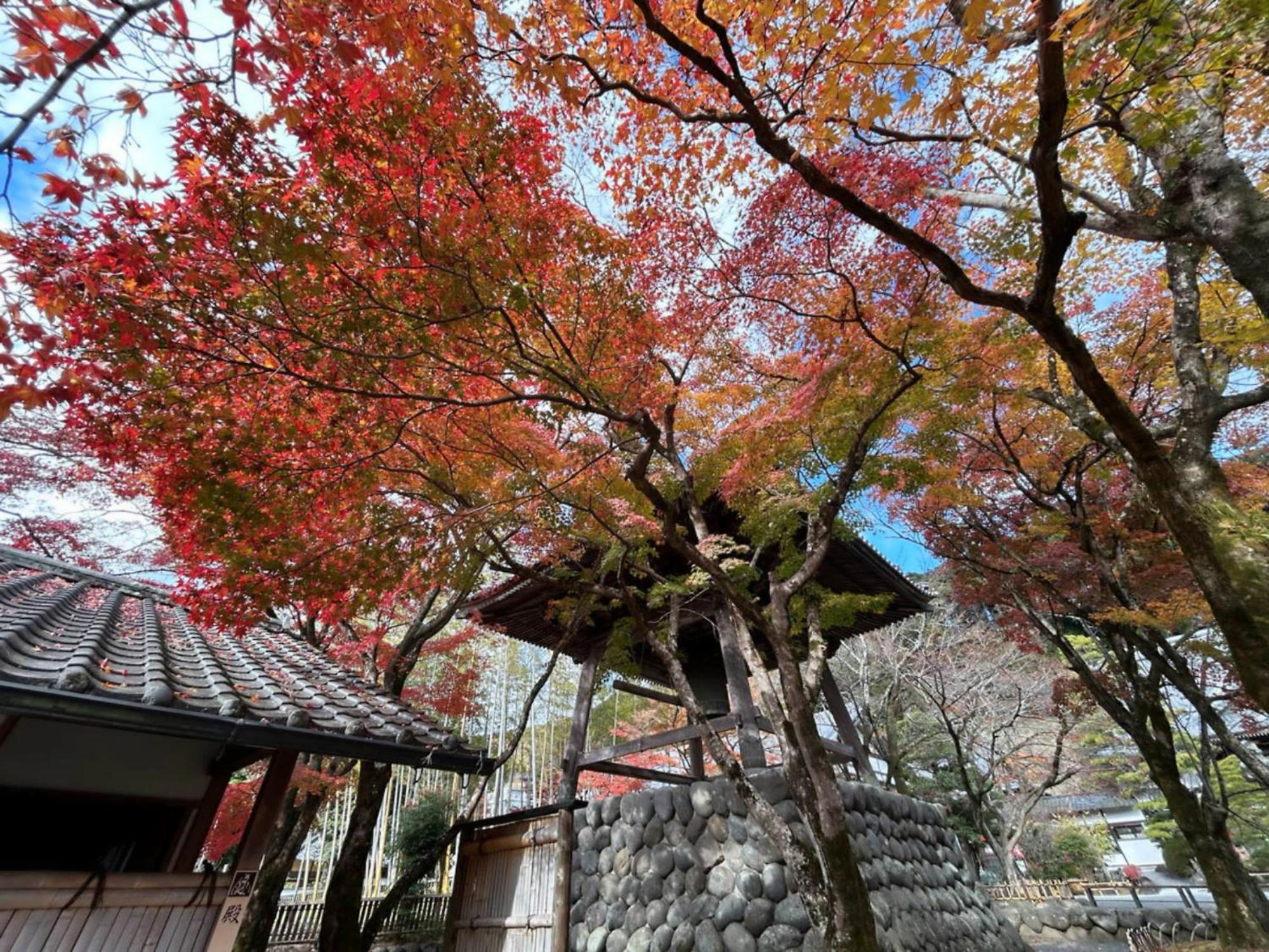 Shuzenji Onsen Hotel Takitei Изу Екстериор снимка