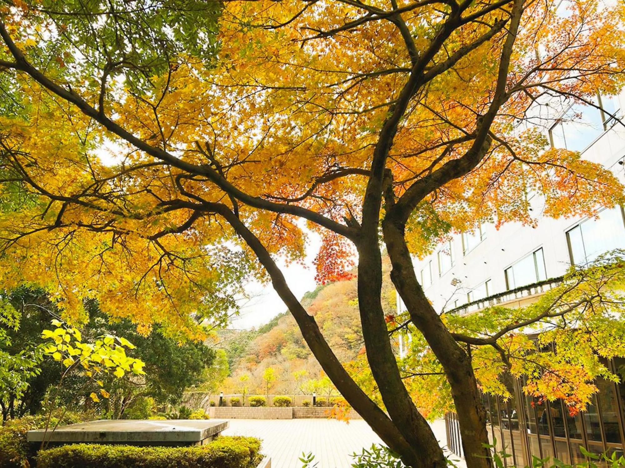 Shuzenji Onsen Hotel Takitei Изу Екстериор снимка